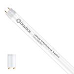 Ledvance Tubo LED T8 Performance (EM/Mains) Standard Output 7W 1100lm - 840 Bianco Freddo | 60cm - Sostitutiva 18W